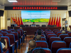  横沟桥镇开展农村