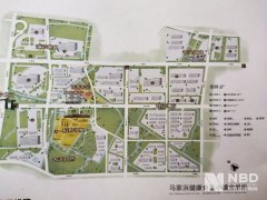 <b>Beyond Meat独家回应嘉兴建厂：将供给三种动物肉将</b>